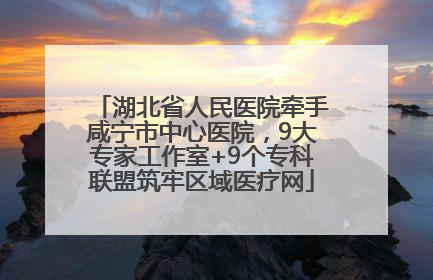湖北省人民医院牵手咸宁市中心医院，9大专家工作室+9个专科联盟筑牢区域医疗网