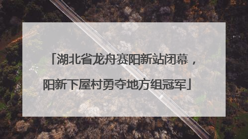 湖北省龙舟赛阳新站闭幕，阳新下屋村勇夺地方组冠军