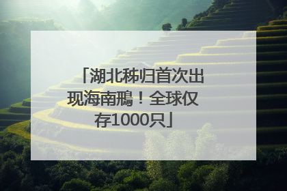 湖北秭归首次出现海南鳽！全球仅存1000只