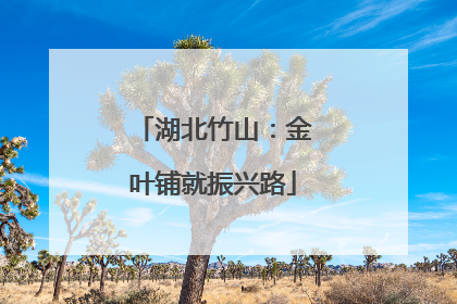 湖北竹山：金叶铺就振兴路