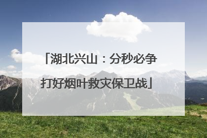 湖北兴山：分秒必争 打好烟叶救灾保卫战