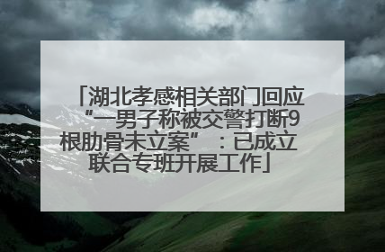 湖北孝感相关部门回应“一男子称被交警打断9根肋骨未立案”：已成立联合专班开展工作