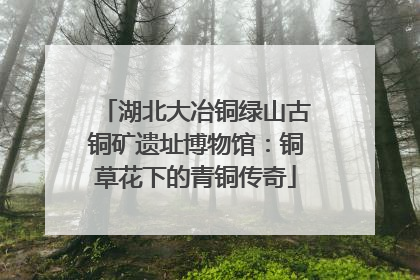 湖北大冶铜绿山古铜矿遗址博物馆：铜草花下的青铜传奇