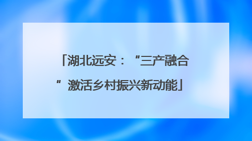 湖北远安：“三产融合”激活乡村振兴新动能