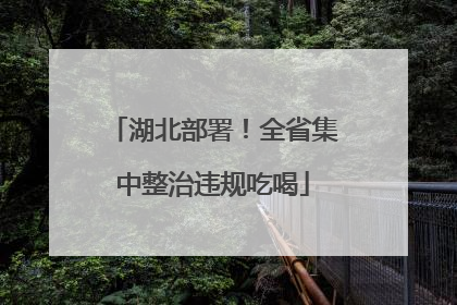 湖北部署！全省集中整治违规吃喝