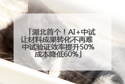 湖北首个！AI+中试让材料成果转化不再难 中试验证效率提升50%成本降低60%