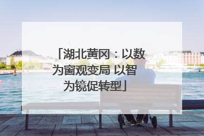 湖北黄冈：以数为窗观变局 以智为镜促转型