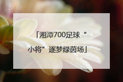 湘潭700足球“小将”逐梦绿茵场