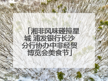 湘非风味碰撞星城 浦发银行长沙分行协办中非经贸博览会美食节