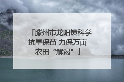 滕州市龙阳镇科学抗旱保苗 力保万亩农田“解渴”