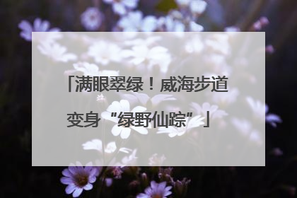 满眼翠绿！威海步道变身“绿野仙踪”