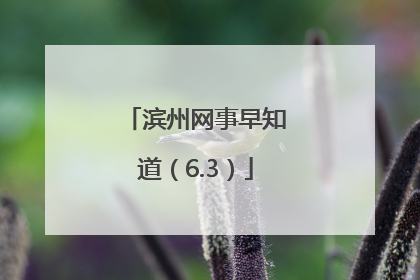 滨州网事早知道（6.3）