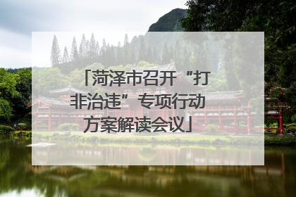 菏泽市召开“打非治违”专项行动方案解读会议
