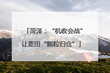 菏泽：“机收会战”让麦田“颗粒归仓”