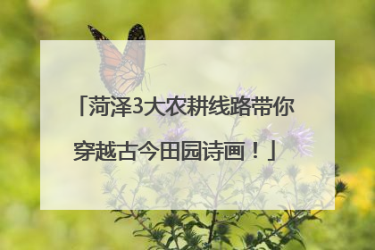 菏泽3大农耕线路带你穿越古今田园诗画！