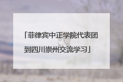 菲律宾中正学院代表团到四川崇州交流学习