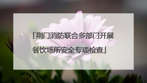 荆门消防联合多部门开展餐饮场所安全专项检查