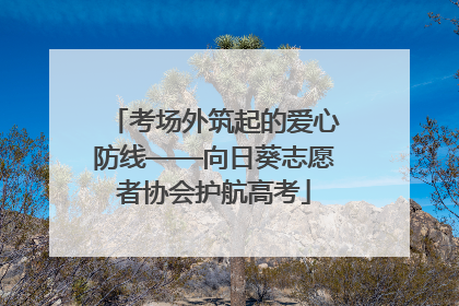 考场外筑起的爱心防线——向日葵志愿者协会护航高考