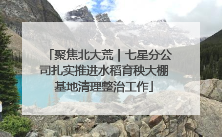 聚焦北大荒｜七星分公司扎实推进水稻育秧大棚基地清理整治工作