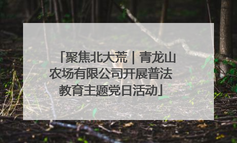 聚焦北大荒｜青龙山农场有限公司开展普法教育主题党日活动