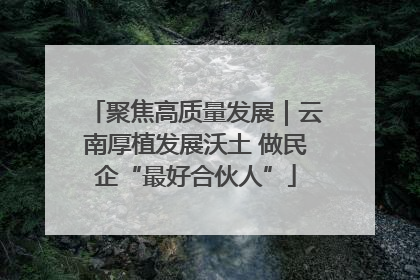 聚焦高质量发展｜云南厚植发展沃土 做民企“最好合伙人”