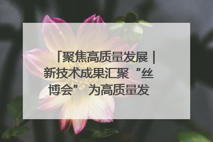 聚焦高质量发展｜新技术成果汇聚“丝博会” 为高质量发展注入新动能