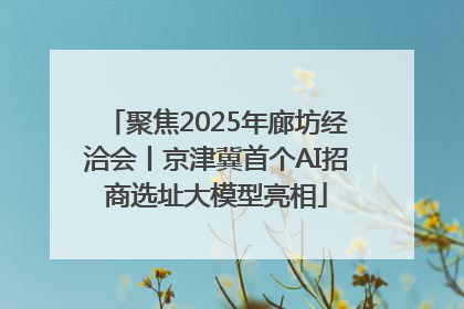 聚焦2025年廊坊经洽会丨京津冀首个AI招商选址大模型亮相