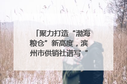 聚力打造“渤海粮仓”新高度，滨州市供销社谱写“三夏”丰收乐章