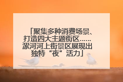 聚集多种消费场景、打造四大主题街区……漯河河上街景区展现出独特“夜”活力