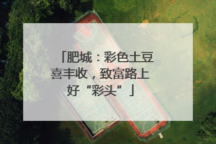 肥城：彩色土豆喜丰收，致富路上好“彩头”