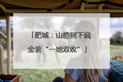 肥城：山楂树下藏金薯“一地双收”