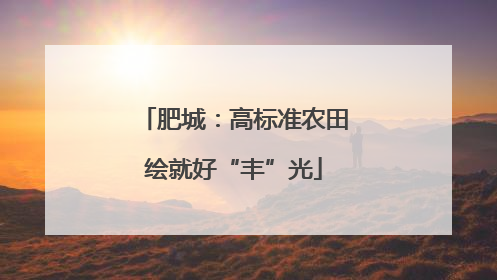 肥城：高标准农田绘就好“丰”光