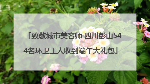 致敬城市美容师 四川彭山544名环卫工人收到端午大礼包
