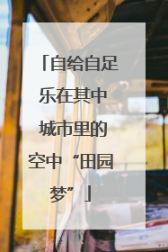 自给自足 乐在其中 城市里的空中“田园梦”
