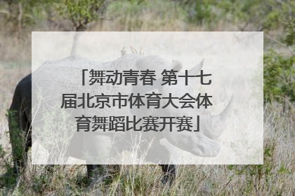 舞动青春 第十七届北京市体育大会体育舞蹈比赛开赛
