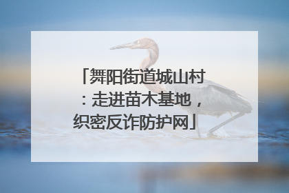 舞阳街道城山村：走进苗木基地，织密反诈防护网