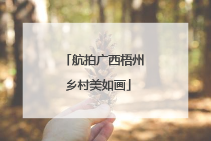航拍广西梧州乡村美如画
