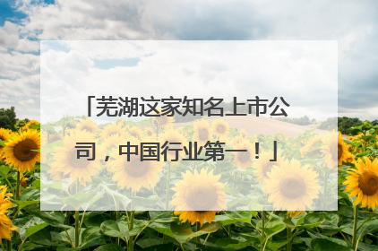 芜湖这家知名上市公司，中国行业第一！