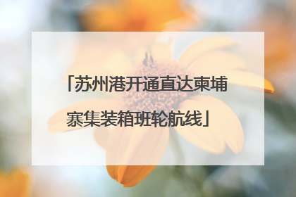 苏州港开通直达柬埔寨集装箱班轮航线