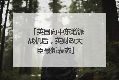 英国向中东增派战机后，英财政大臣最新表态