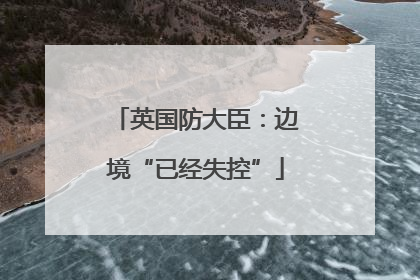 英国防大臣：边境“已经失控”