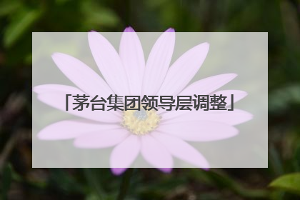 茅台集团领导层调整