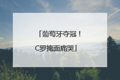 葡萄牙夺冠！C罗掩面痛哭