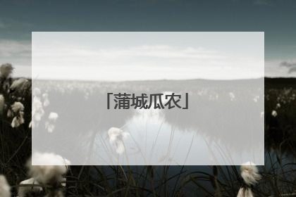 蒲城瓜农