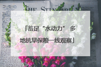 蓄足“水动力” 多地抗旱保粮一线观察