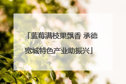 蓝莓满枝果飘香 承德宽城特色产业助振兴