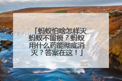 蚂蚁怕啥怎样灭蚂蚁不留痕？蚂蚁用什么药能彻底消灭？答案在这！