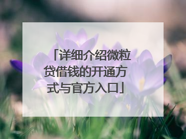 详细介绍微粒贷借钱的开通方式与官方入口