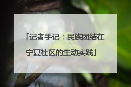 记者手记：民族团结在宁夏社区的生动实践
