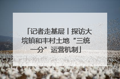 记者走基层丨探访大垸镇和丰村土地“三统一分”运营机制
